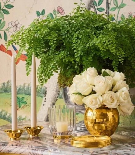 Luxury Home Goods Stores - Happy Kangaroo