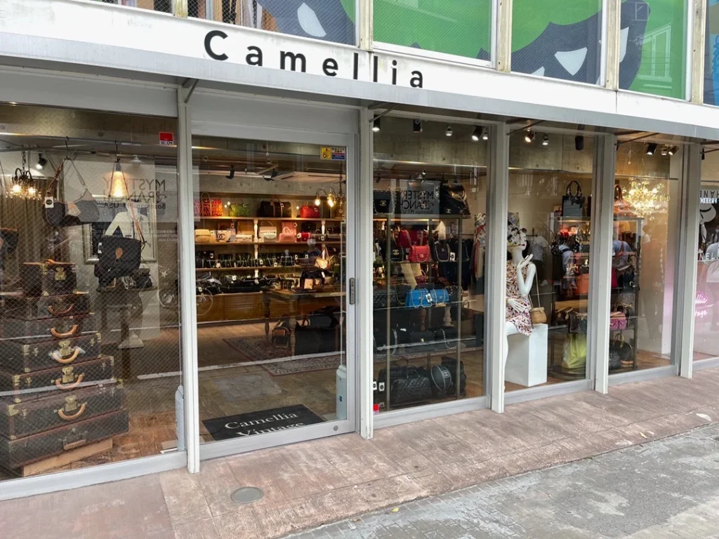 camellia vintage