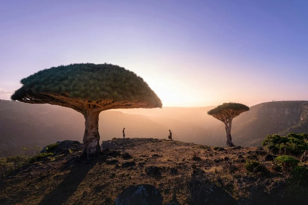 Remote islands: Socotra