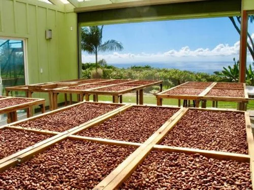 Courtesy of Kokoleka Lani Farm